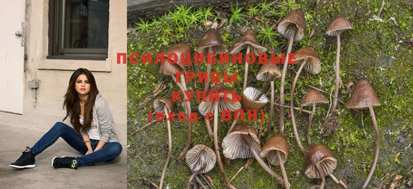 мяу мяу кристалл Богданович