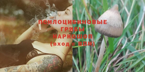 мяу мяу кристалл Богданович