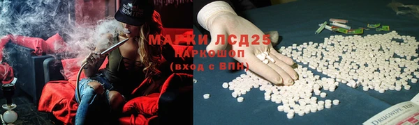 мяу мяу кристалл Богданович
