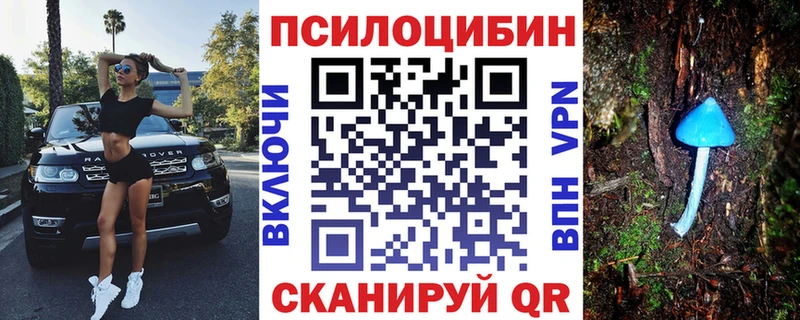 Галлюциногенные грибы прущие грибы  hydra онион  Черноголовка 