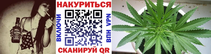 mega ТОР  купить  цена  Черноголовка  Бошки марихуана VHQ 